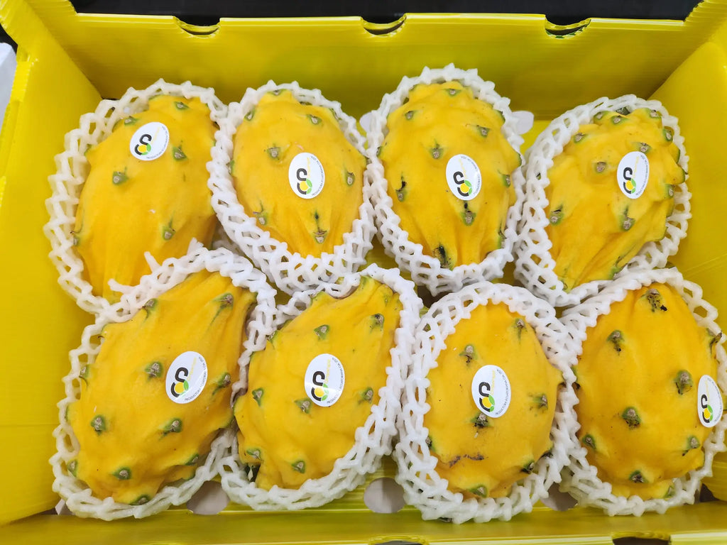 Yellow Dragon Fruit 6/7/8s CTN, Ecuador Freshly Picked