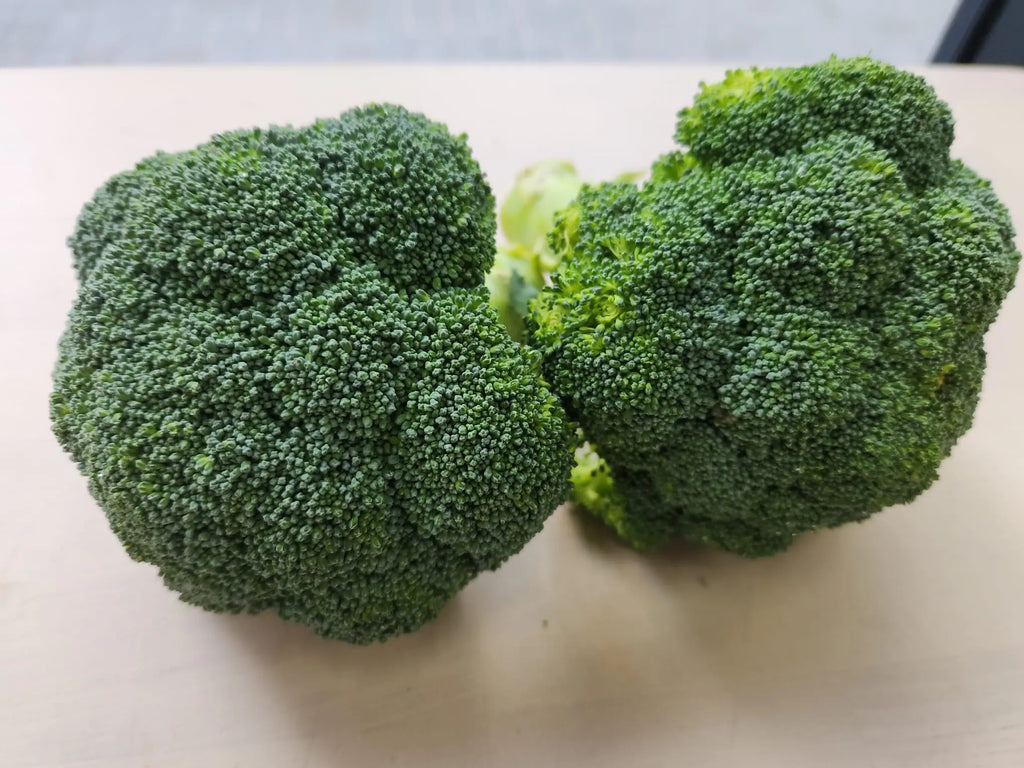 Broccoli 西兰花 Freshly Picked