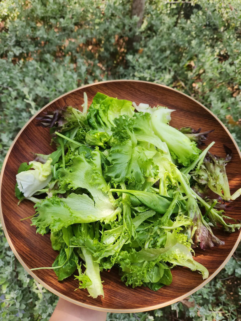 Garden Salad 200g Freshly Picked
