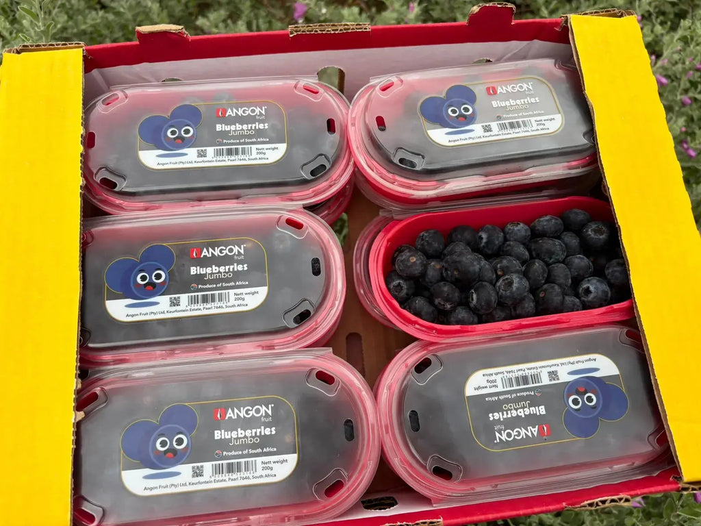 Angon Blueberries Freshly Picked