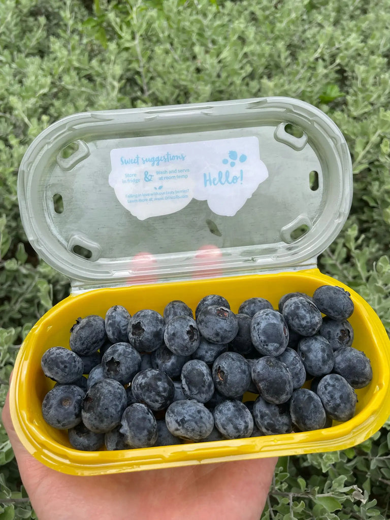 Driscoll's Blueberries 125g x 2 Freshly Picked