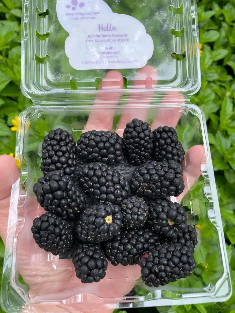 Driscoll's Blackberries 170g Freshly Picked