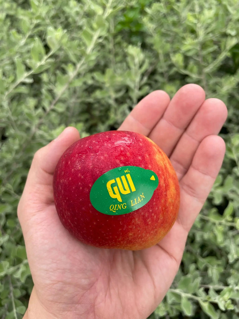 Love Bite Apples 5s (XL) Freshly Picked