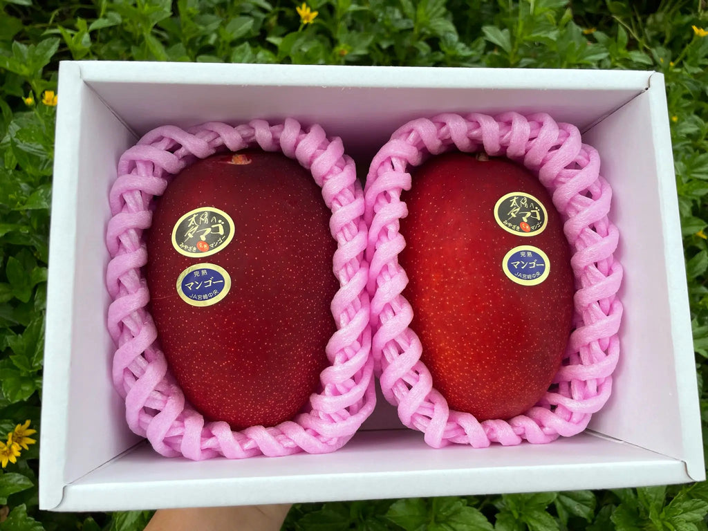 Miyazaki Mango Freshly Picked