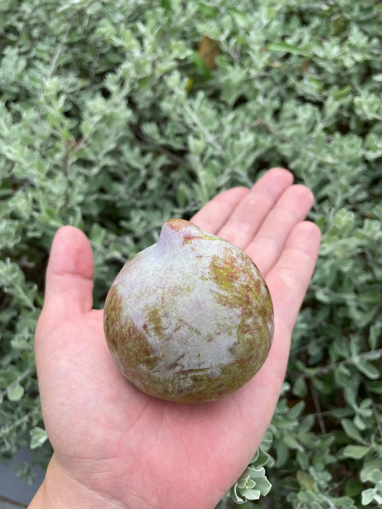 Flavour Gator Pluot Freshly Picked