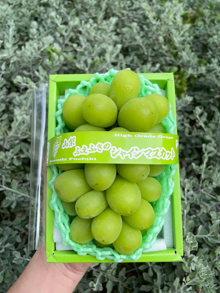 Fuefuki Shine Muscat Freshly Picked
