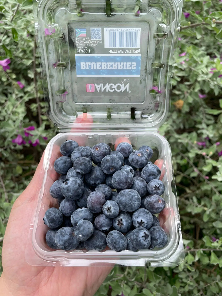 Angon Blueberries Freshly Picked