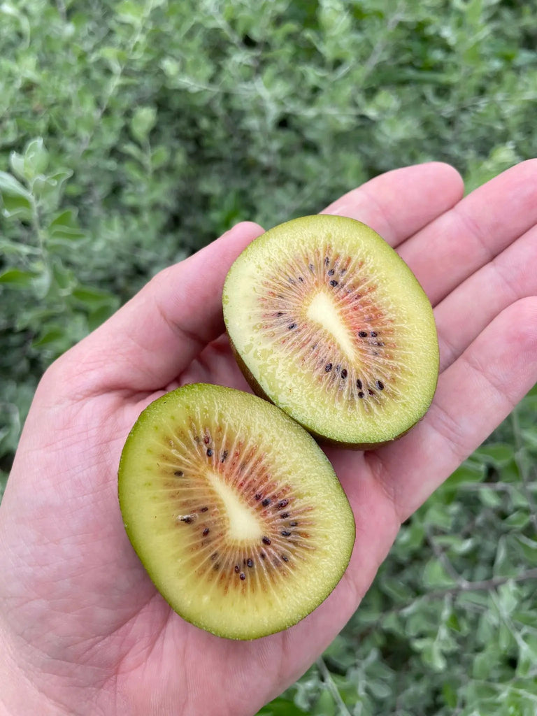 Rainbow Red Heart Kiwi Freshly Picked