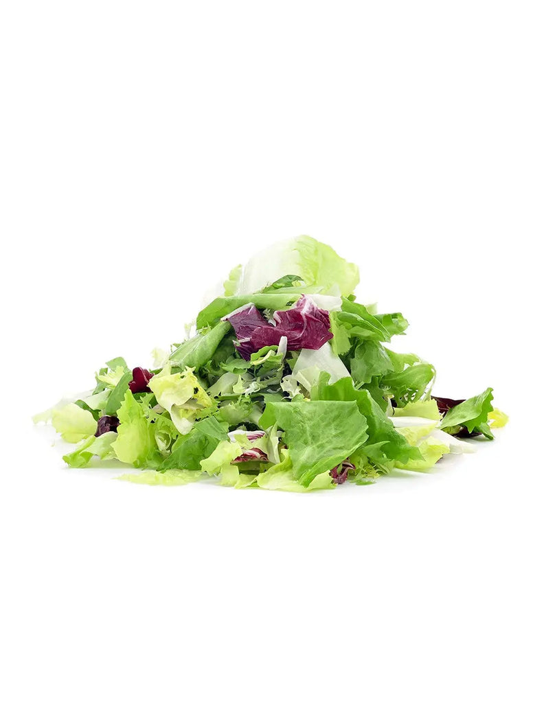 Lettuce Mesclun 100 Gram Freshly Picked