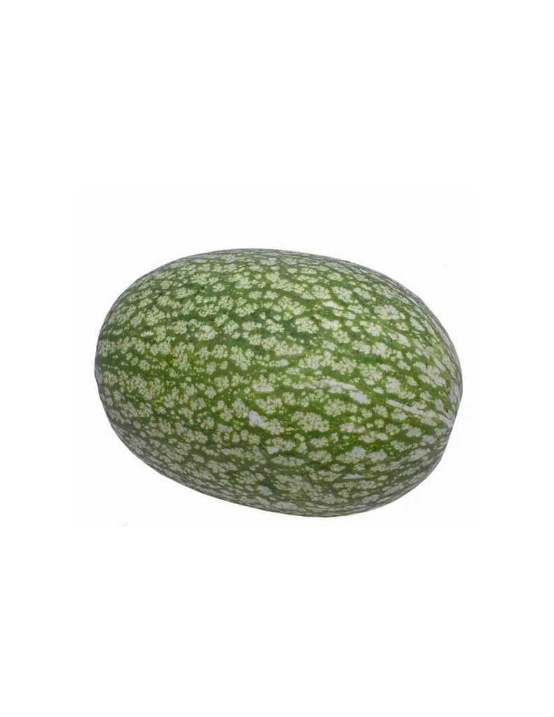 Sharkfin Melon 2 KG Freshly Picked