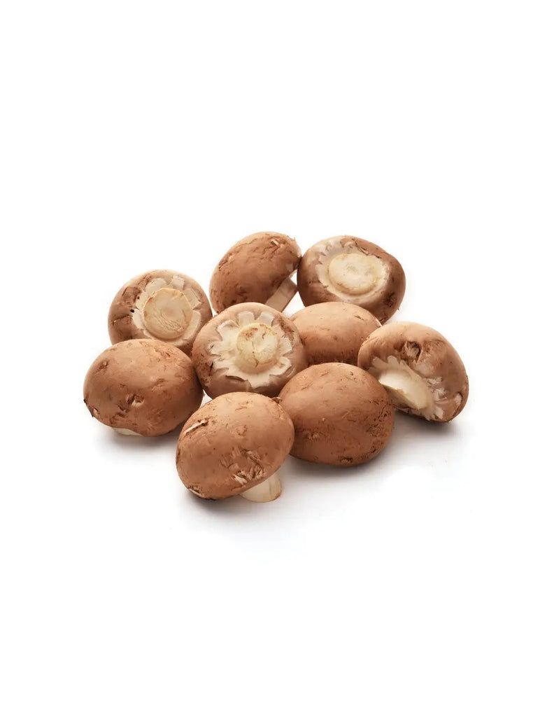 Swiss Brow Mushroom 250 Gram Freshly Picked