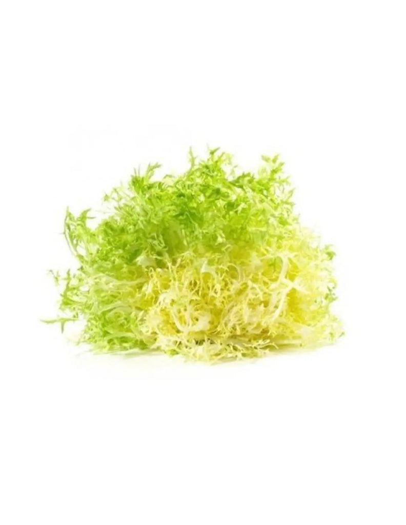 Yellow Frisee 500 Gram Freshly Picked